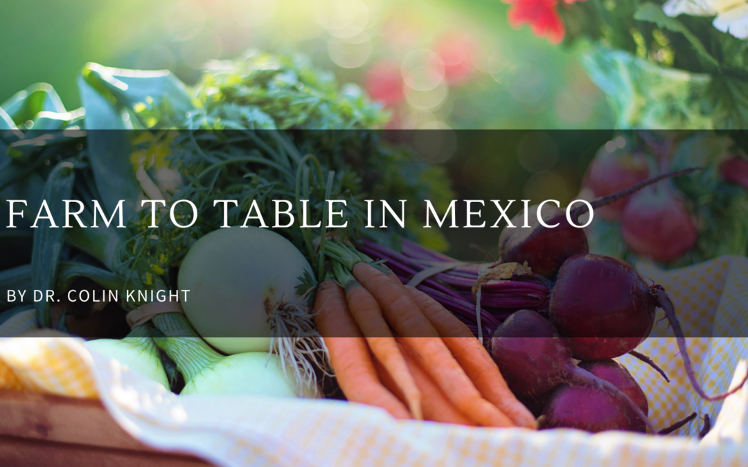 Farm to Table in Mexico