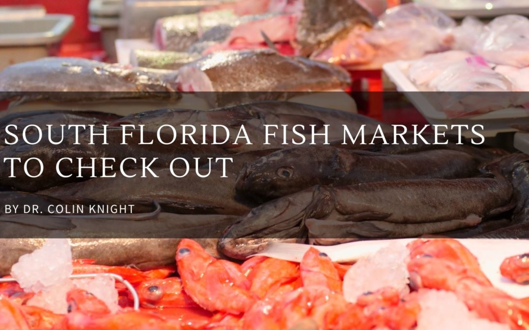 South Florida Fish Markets to Check Out